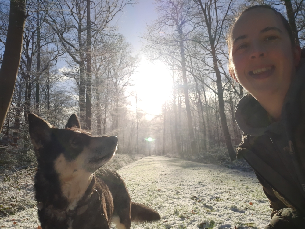 5 lessen vanuit het ondernemerschap en wat je daaruit kan leren als hondenverzorger.